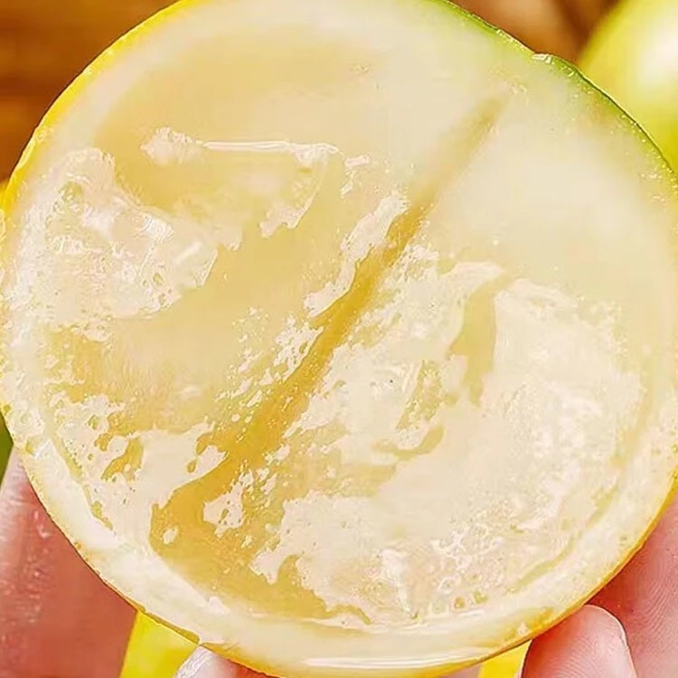 福建黄晶果新鲜香甜多汁黄金牛奶果现摘稀奇冬蜜黄晶果稀有水果