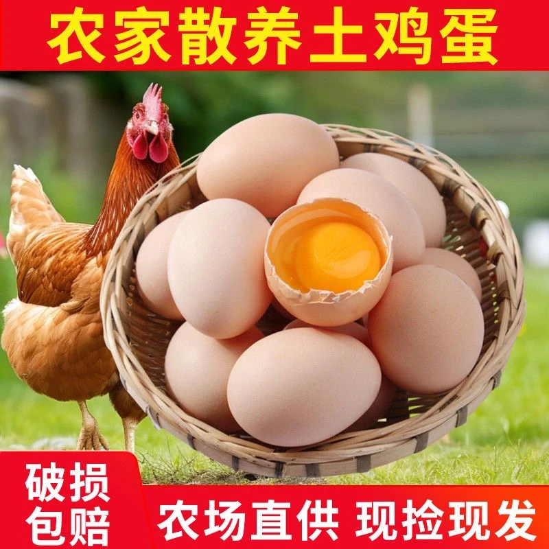 【新鲜农家土鸡蛋】农家散养土鸡蛋40g到50g/枚新鲜土鸡蛋