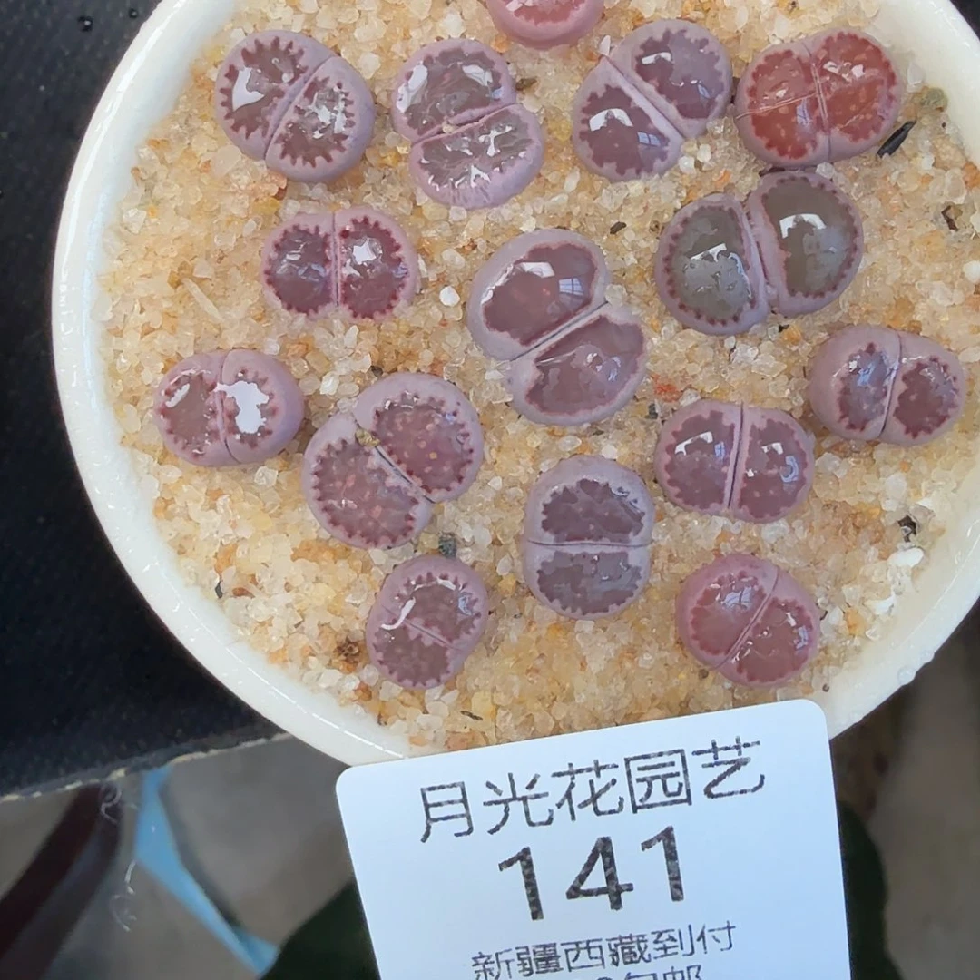 是一个不想被爱包围了141你