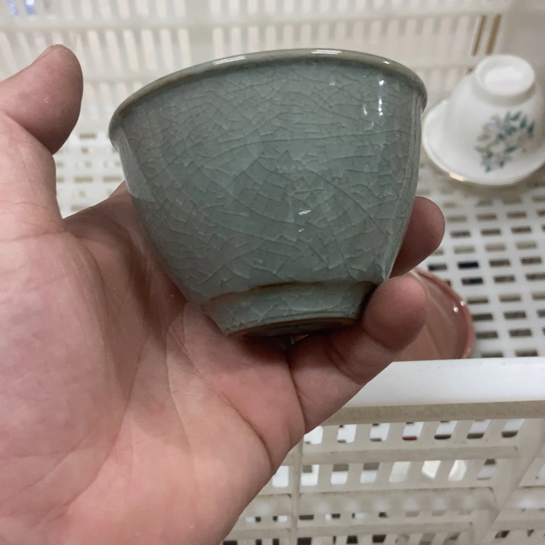 杯直播链接直播链接