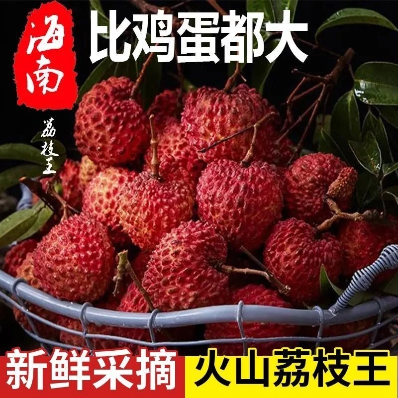 《顺丰京东》海南火山岩永兴荔枝王现摘现发新鲜水果肉厚满足