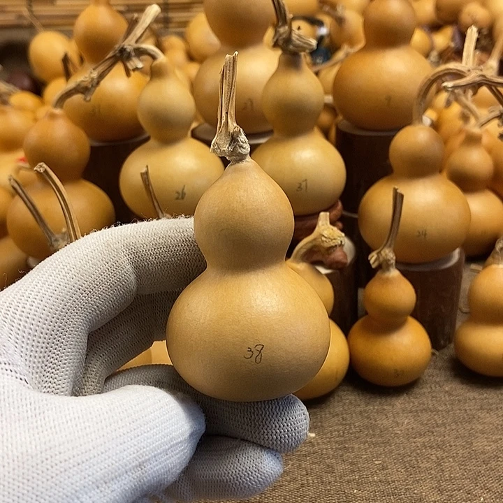 文玩葫芦 完美主义者 慎拍38