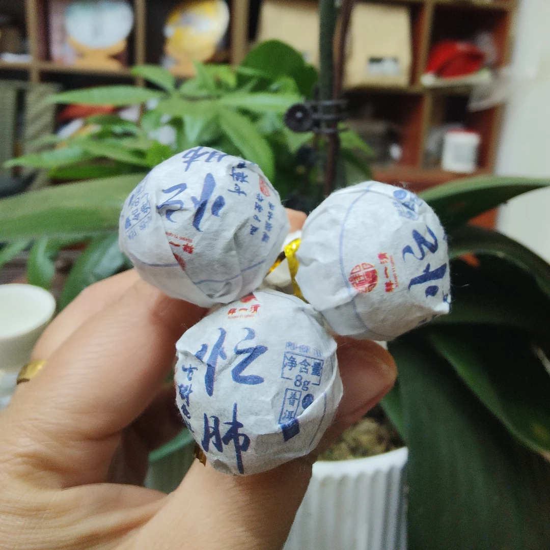 XINGYIQING/祥一清2025年忙肺核心区秋茶龙珠（手工龙珠）