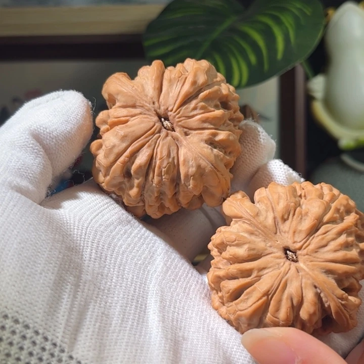 中***管文玩核桃把件龙鼎