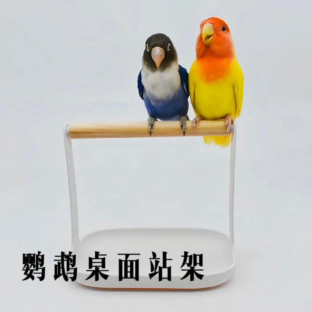 鹦鹉桌面站架定点排便鸟架子牡丹玄凤虎皮鹦鹉训练站架小型鸟站架