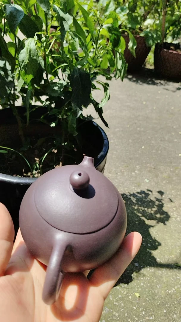 原矿紫砂天青泥小品西施壶210容量