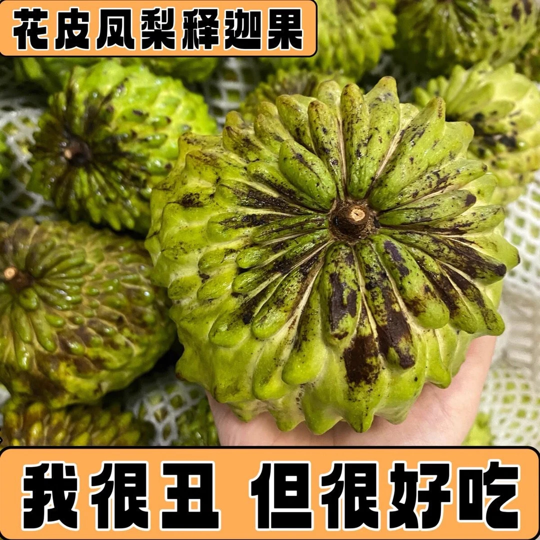 【老树花皮果】云南高原花皮第5代牛奶凤梨释迦果纯甜应季水果
