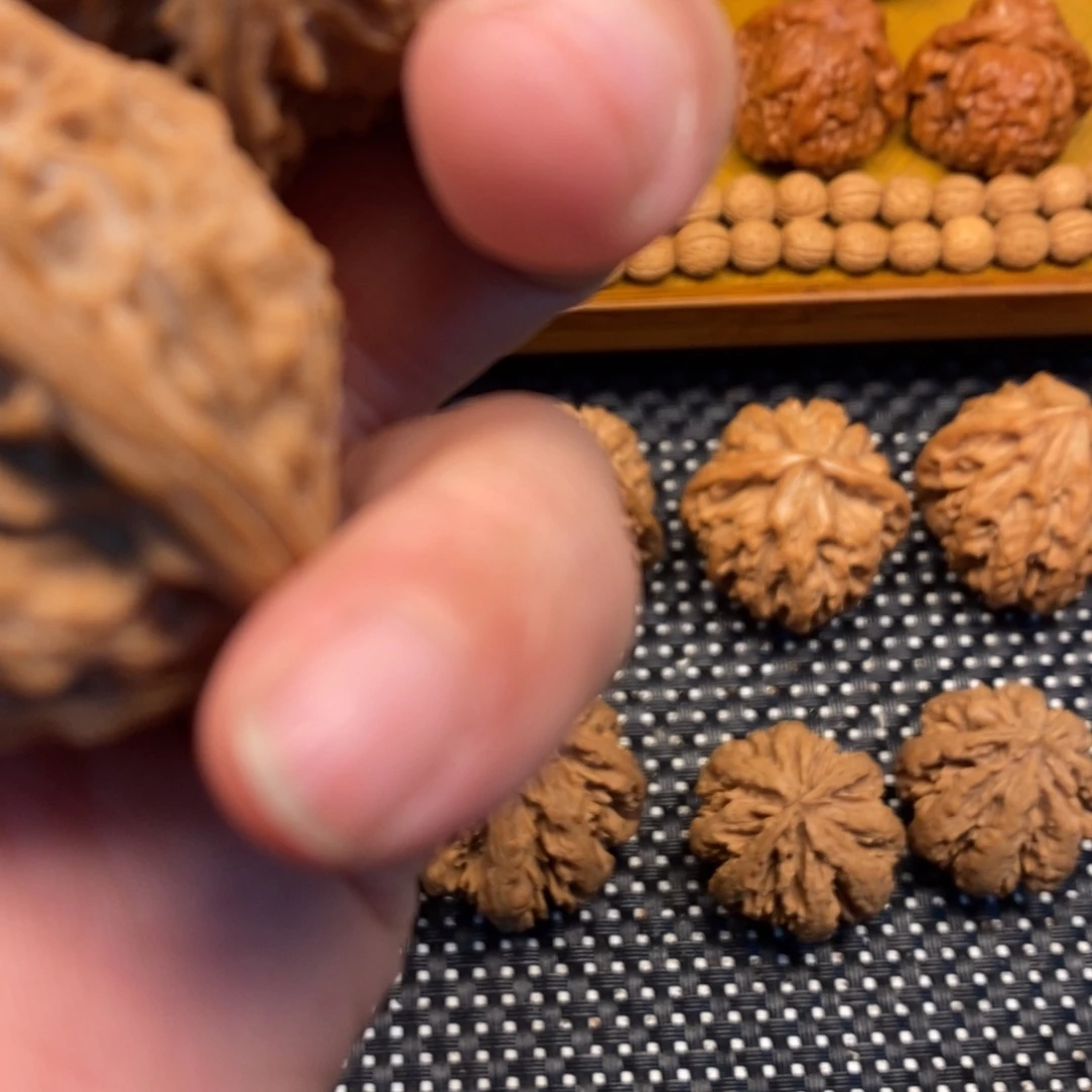 沉***肚秦岭森林景观是典型