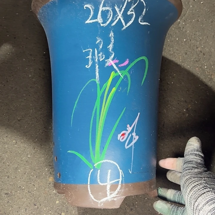 成***雄周深周深周深周深周深