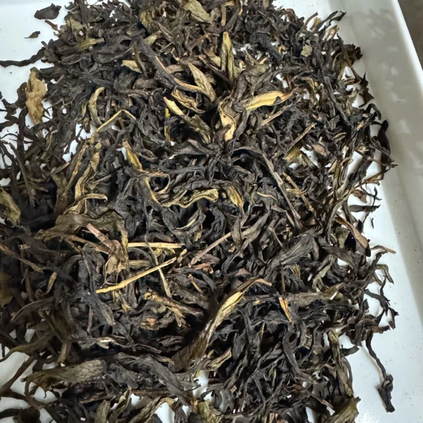 【王知书专属】舜皇乌龙茶