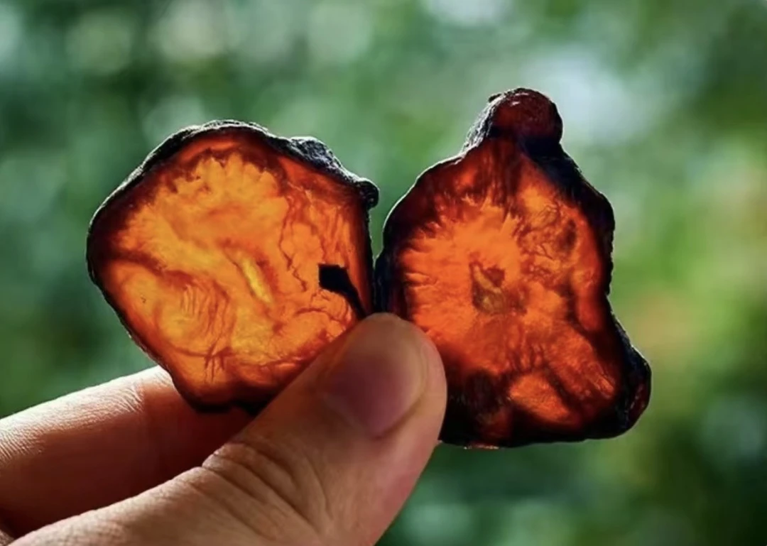 【直播用】正宗四川江油附土豆片扶阳魔芋片四逆汤倪师初级农产品