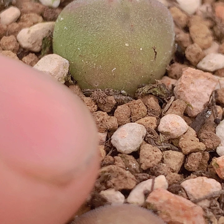 186656656686586865668