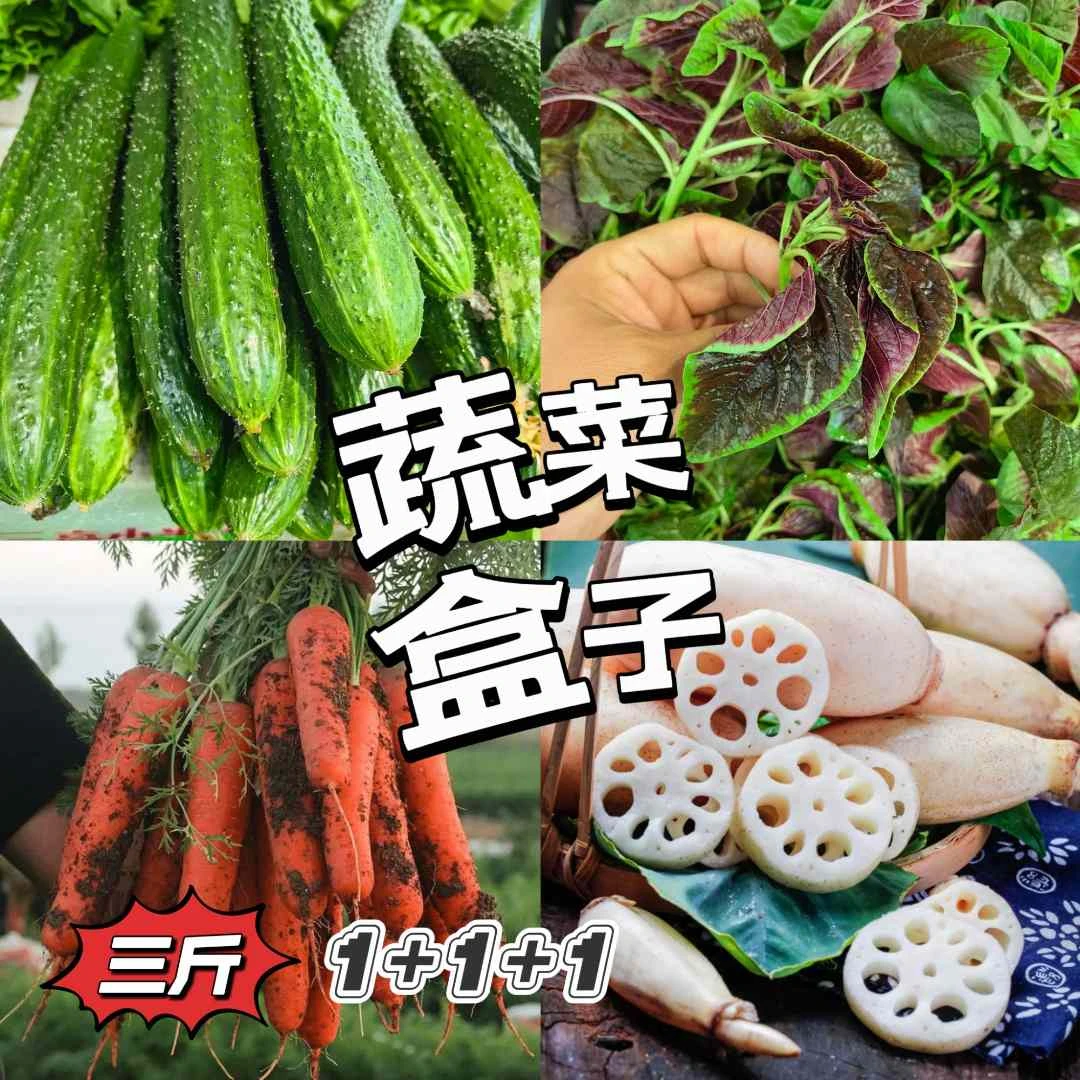 【三斤装组合款】安徽应季蔬菜组合三斤装毛豆苦瓜辣椒茄子黄瓜1+1+1新鲜苦瓜同城送毛豆同城送毛豆同城配蔬菜