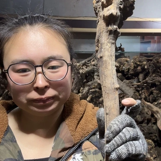 香榧木哪***_火琉璃的毛料摆件