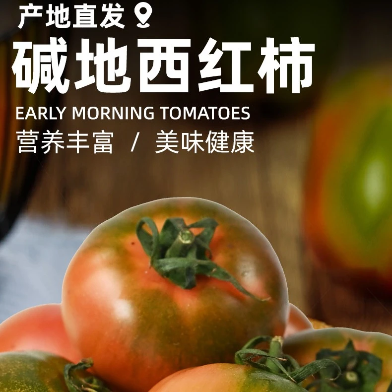 【盘锦碱地番茄】顺丰包邮 酸甜可口 铁皮柿子 草莓柿子 青红掺发