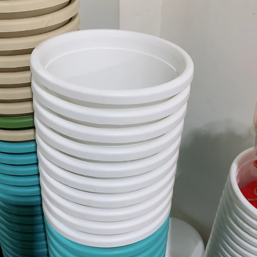 树脂四季口17白10个无托新