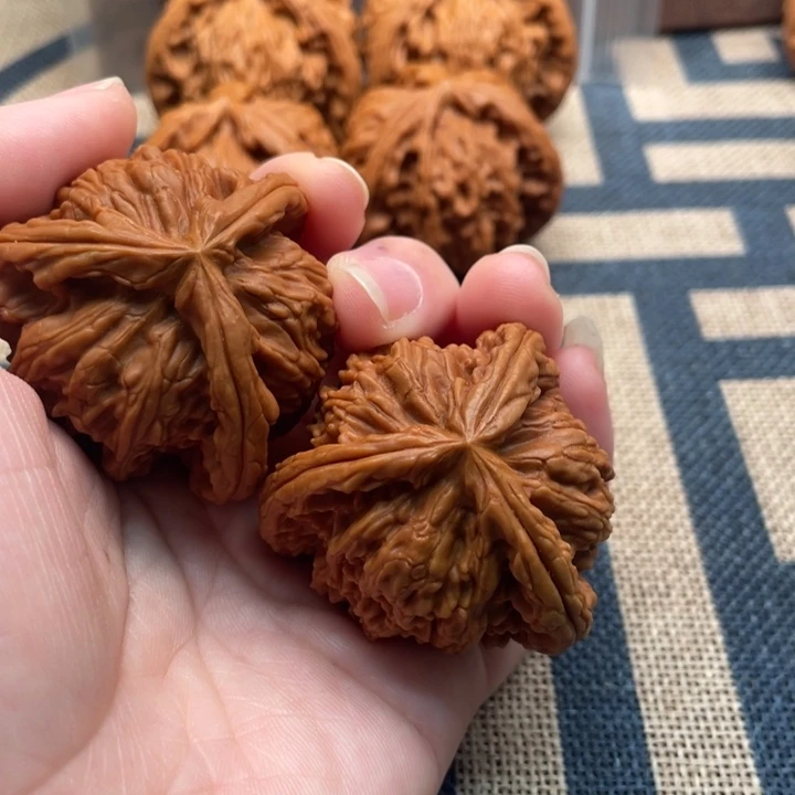 用***1核桃白狮子42核桃