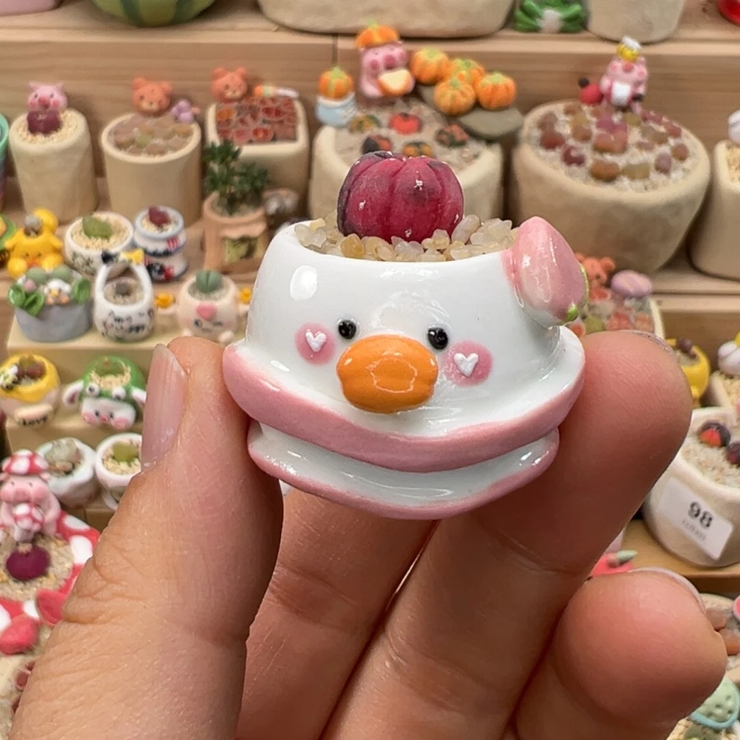 多肉植物128号兜锦