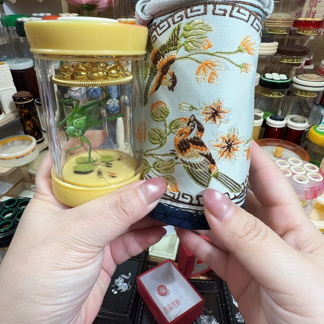 *****哈哈哈罐子➕绿蝈蝈