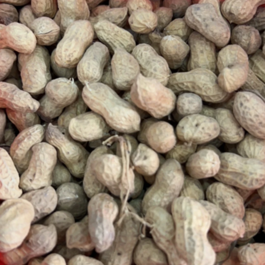 黄梅干货 农家自种生花生带壳花生