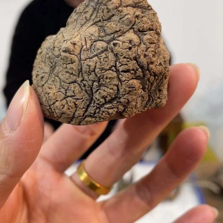 用****9我们都是好孩子呀