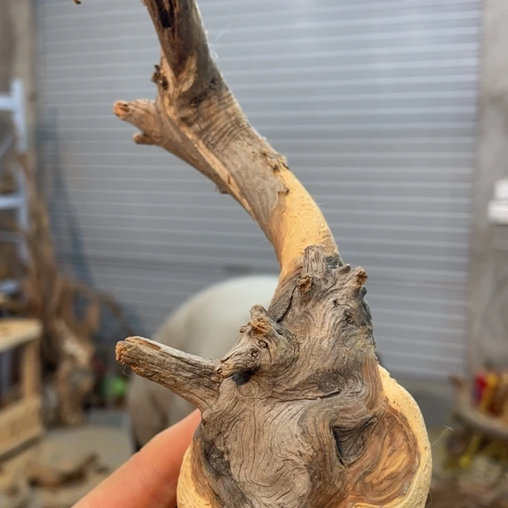 邯****店我们都是好孩子呀