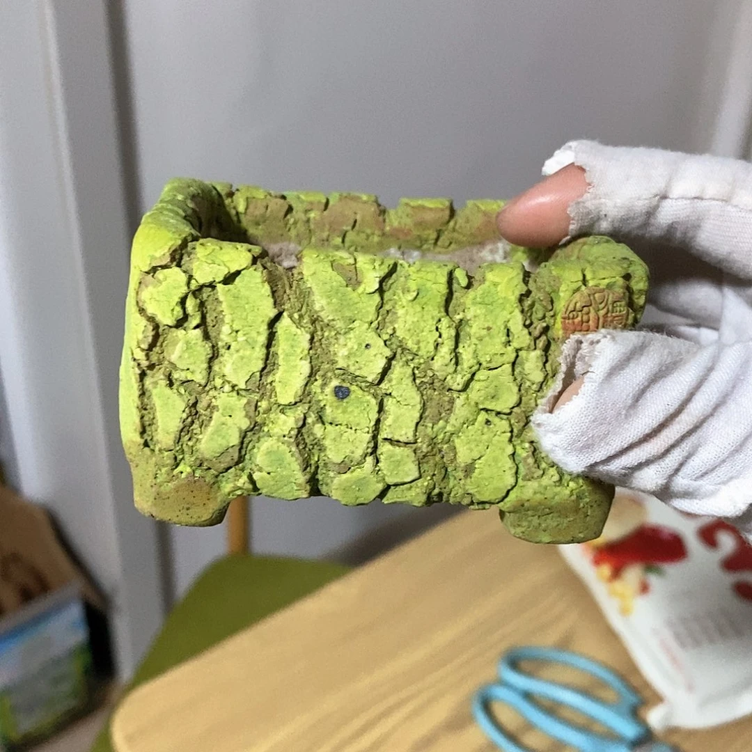 红陶往**风拍5送一个小