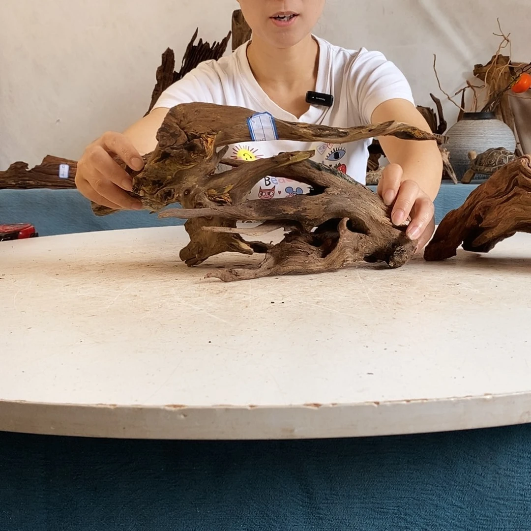 沉木造景寄居蟹景