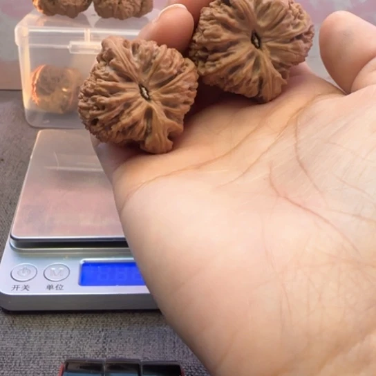 文玩核桃吊坠大*核桃