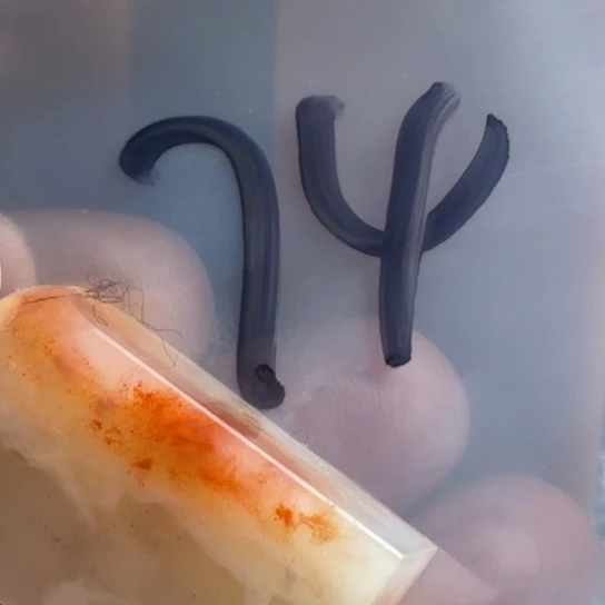 老挝石九***褂老挝精美素章