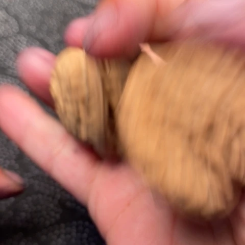 文玩核桃把件官帽10