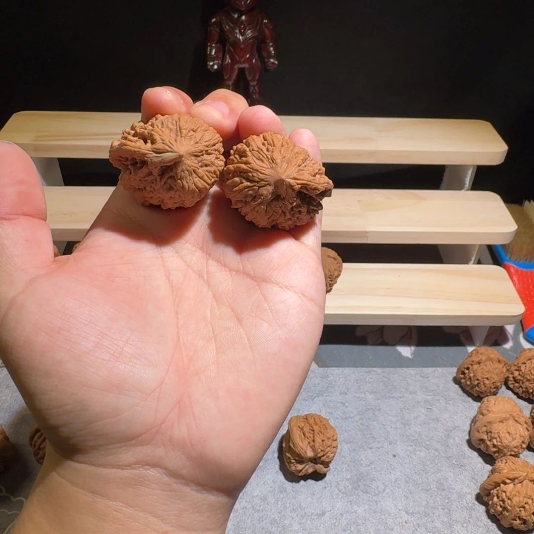 大叶紫檀（黑酸枝木类）