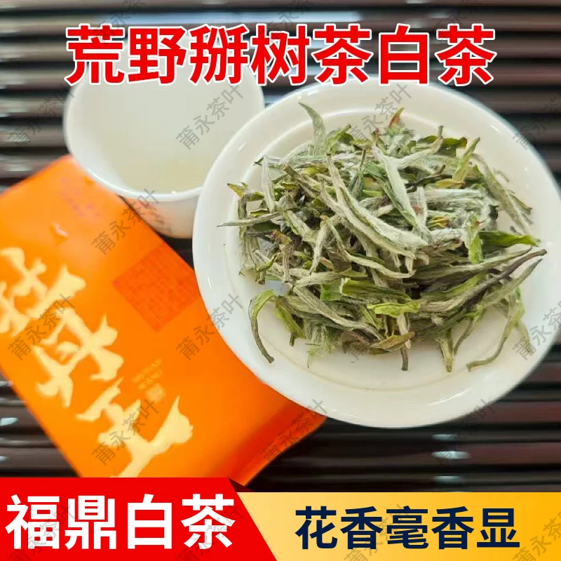 2025年福鼎白茶高山老树荒野掰树茶牡丹王毫香野花香蜜香