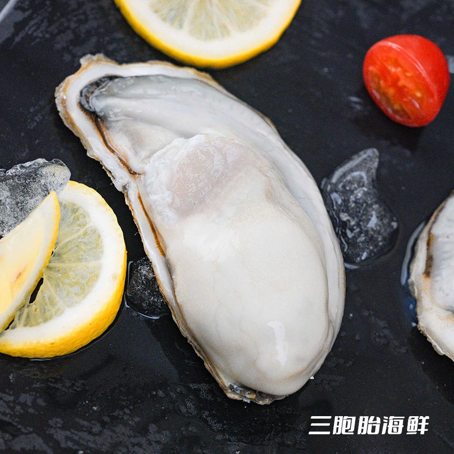 【顺丰发货】①鲜活水产特大生蚝 肉质饱满 半斤一个 2个/斤到手5斤