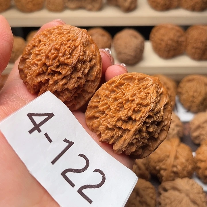 核桃42满天星4122