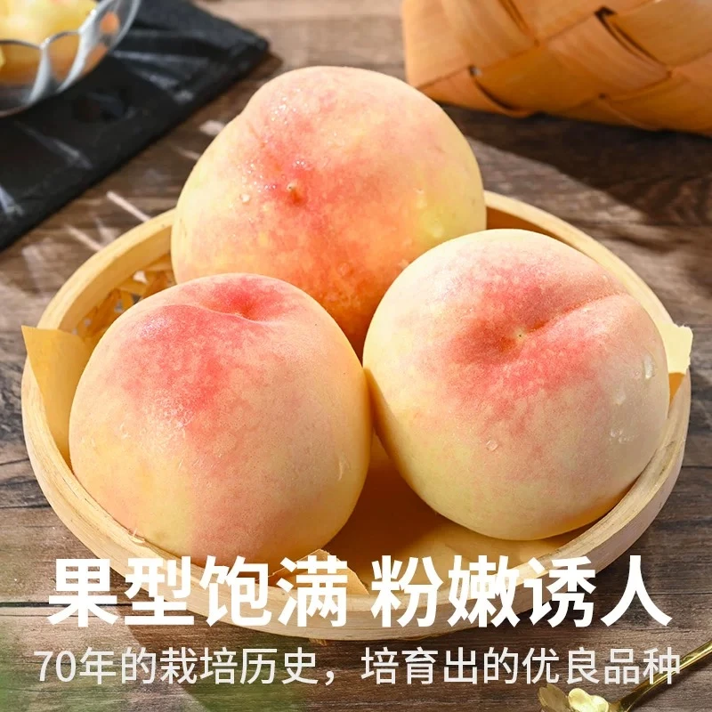 【无锡正宗水蜜桃】皮薄多汁行走的榨汁机夏日尝鲜香甜爆 江苏省