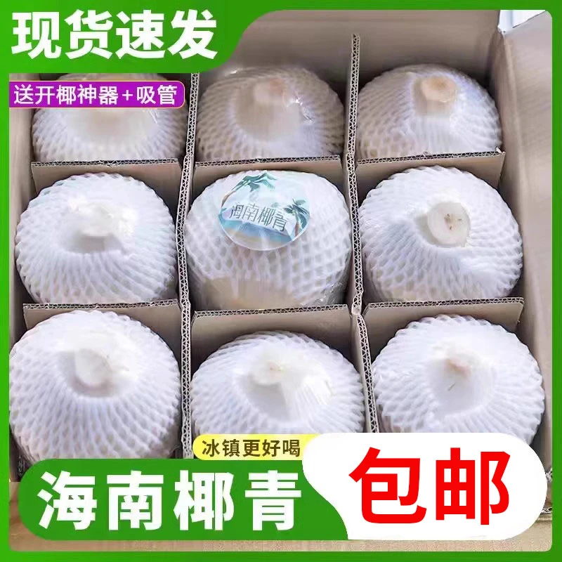 海南文昌椰青新鲜椰子2-9个装当季孕妇补羊水水果去皮椰子整箱