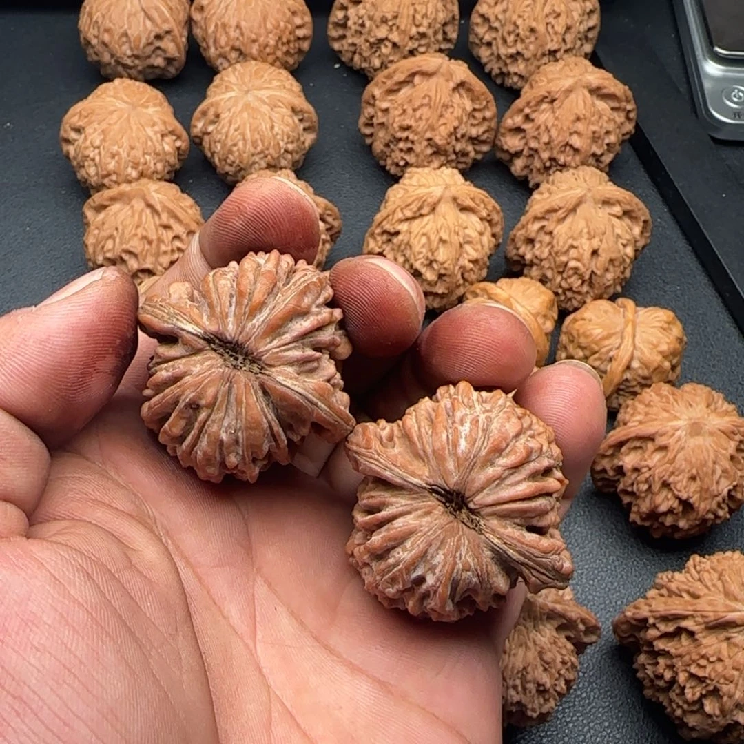 40尺全品无修四座楼