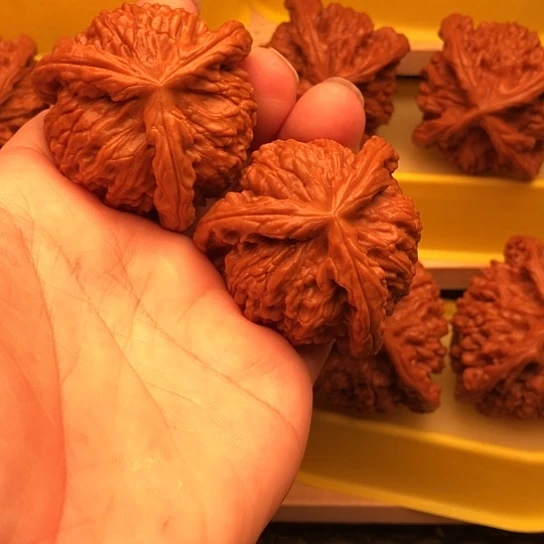 大***图核桃核桃核桃核桃核桃