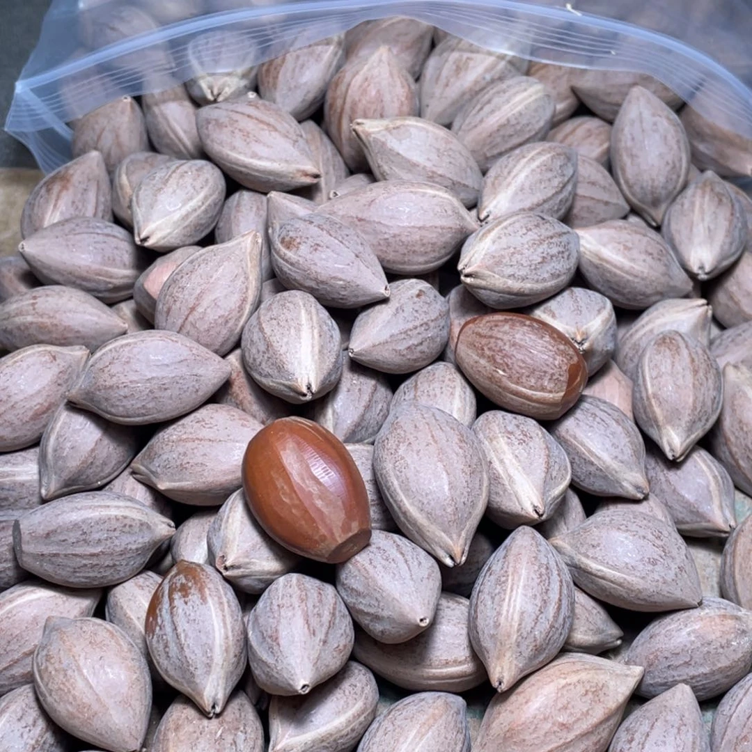 香***堂手串/手链橄榄核不退不换