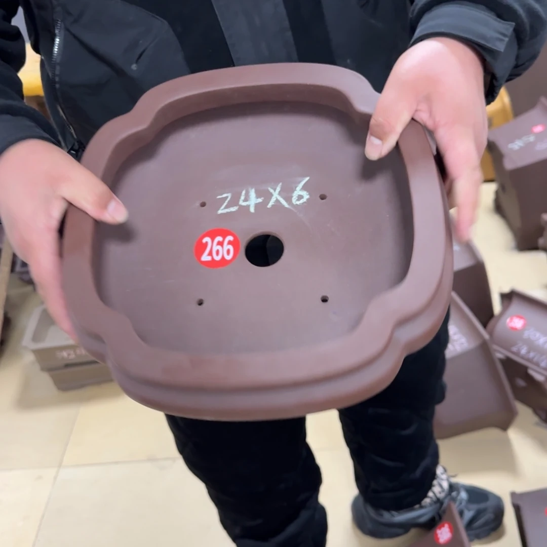 紫砂花盆呜呜呜我真的很