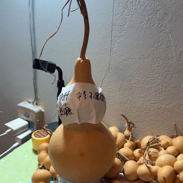 *****木质类中号不退不换