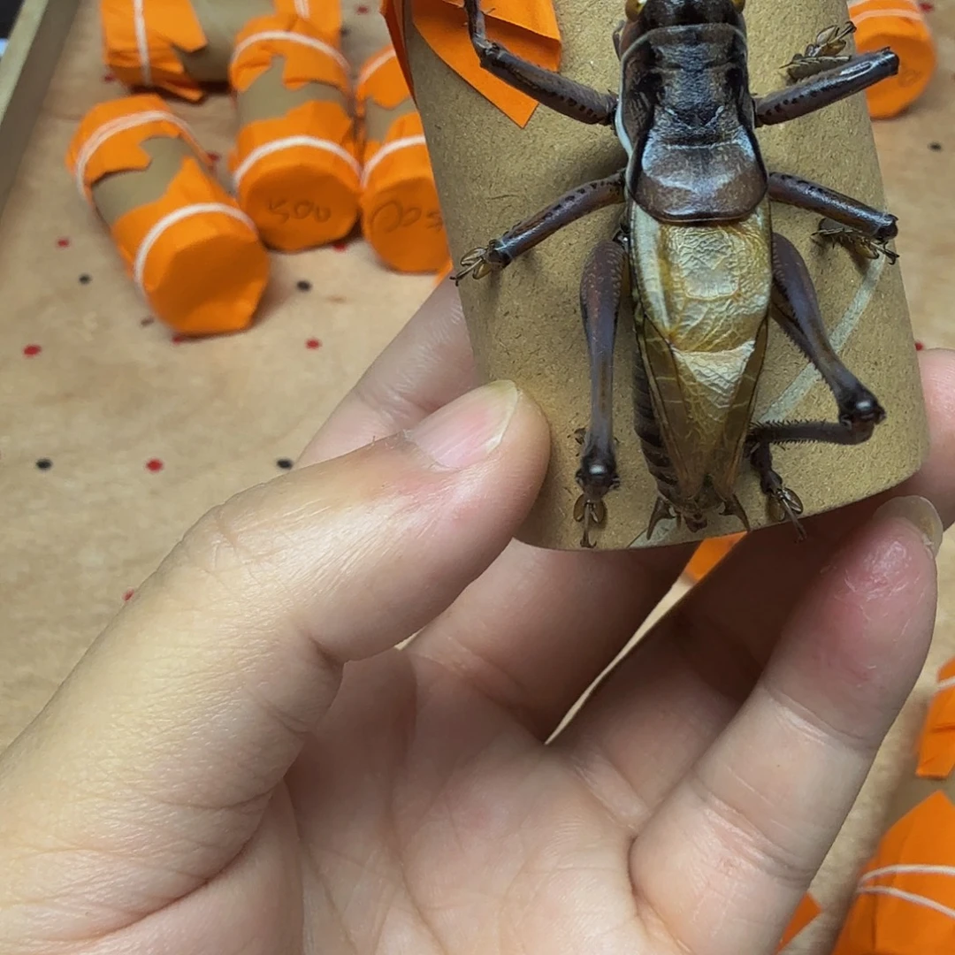 哈哈哈哈哈哈哈哈哈哈哈哈哈哈哈