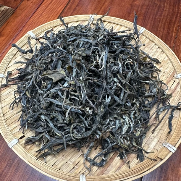 云南千家寨打笋山古树生茶