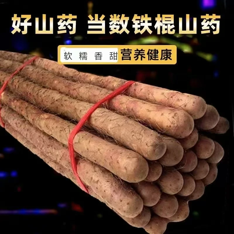 正宗垆土怀山药铁棍山药新鲜营养山药正宗怀山药铁棍山药