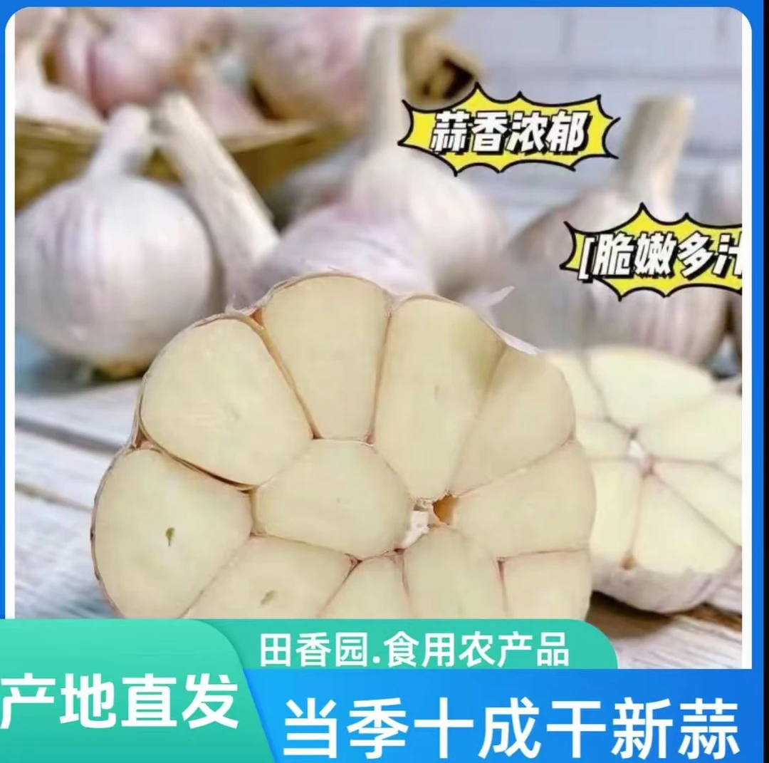 2025年新蒜干大蒜多瓣蒜头整箱（河南白皮蒜）