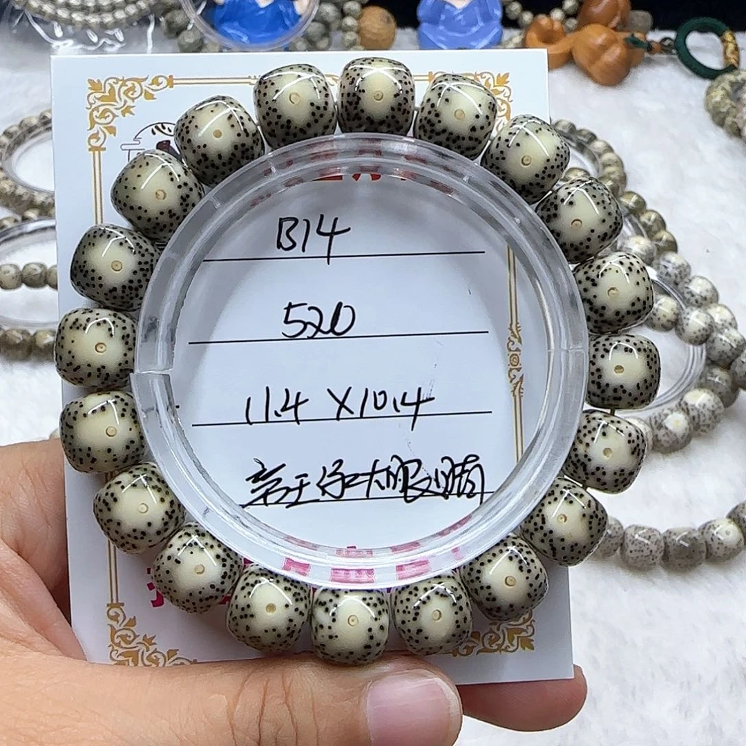 心月星月菩提一号B14