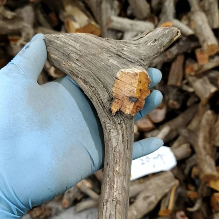 打***包香榧木崖柏随行毛料毛料毛料