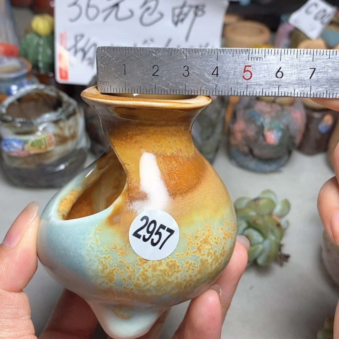 拍5送一个小礼物
