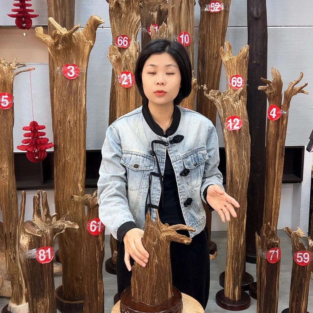 沉香摆件海南沉香摆件